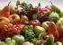 Alimentos funcionales naturales